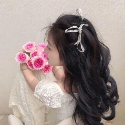 圣特鲁佩斯的警察国语